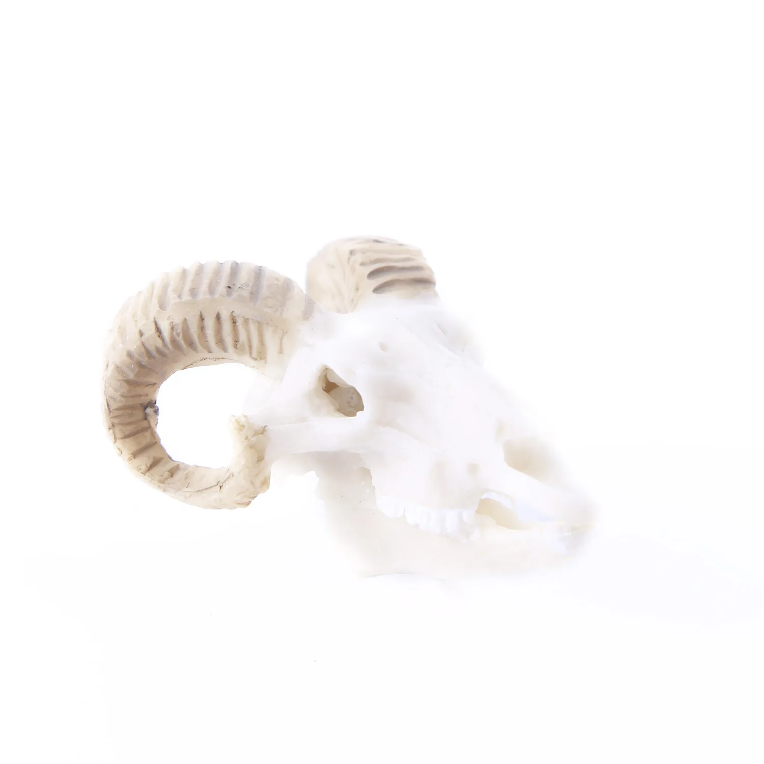 Skull Figurine Resin Goat Skull Miniature Aquarium Decoration Ornament Fish Tank Reptile House Micro Landscape Decorations