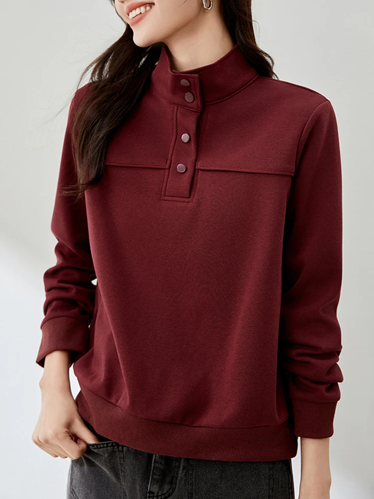 Korean Turtleneck Sweatshirts Long Sleeve Women Pullovers 2025 New Autumn Winter Loose Casual Jumper Korean Fashion Sweatshirts