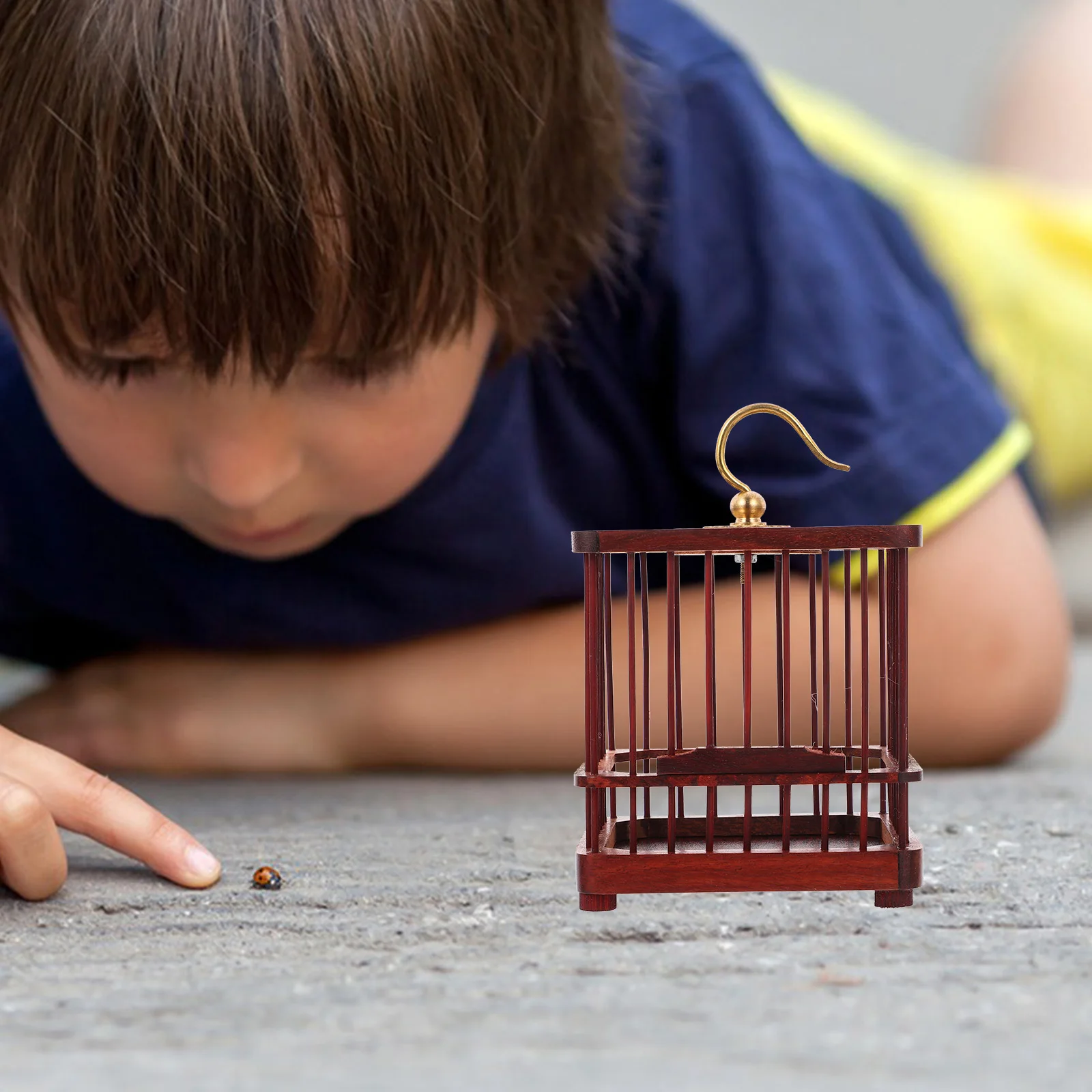 

Mini Wooden Cricket Box Portable Insect Habitat Natural Durable Storage Cage For Kids Science Exploration Purple
