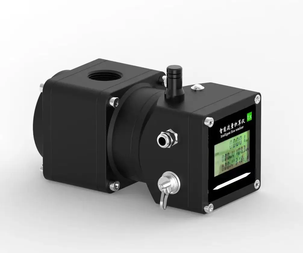 Macro LPG Gas Roots Flow Meter for Natural Gas with RS-485 and LCD Display High Accuracy Mass Flow Meter