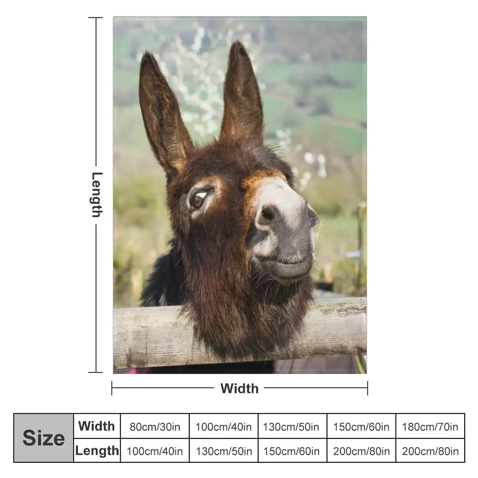 Doc the Donkey Throw Blanket christmas decoration Cute Blankets