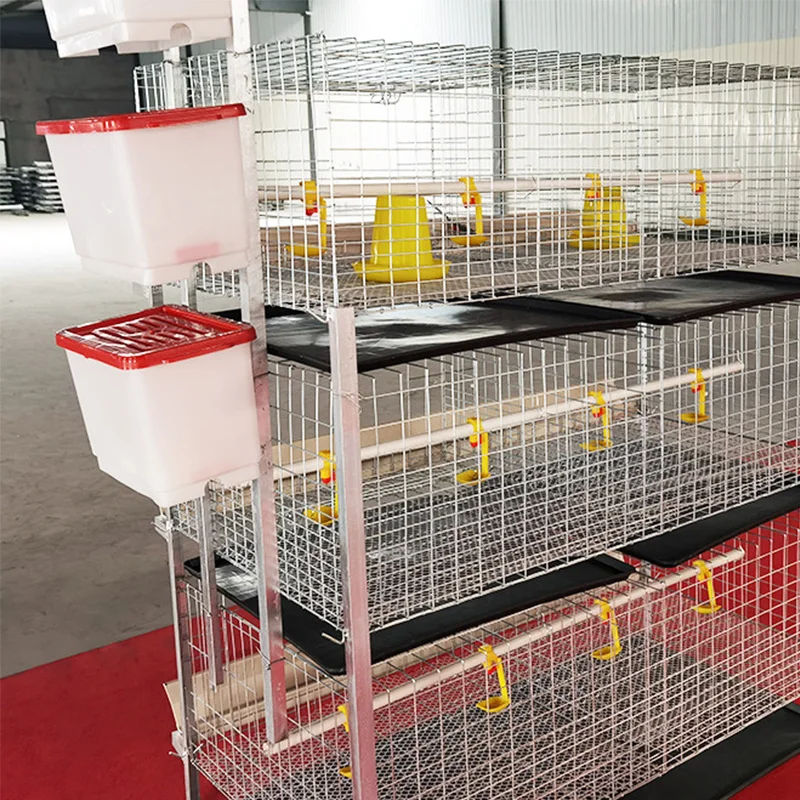H Type Layer Chicken Cage Steel Stepped Cages For Chicken Used