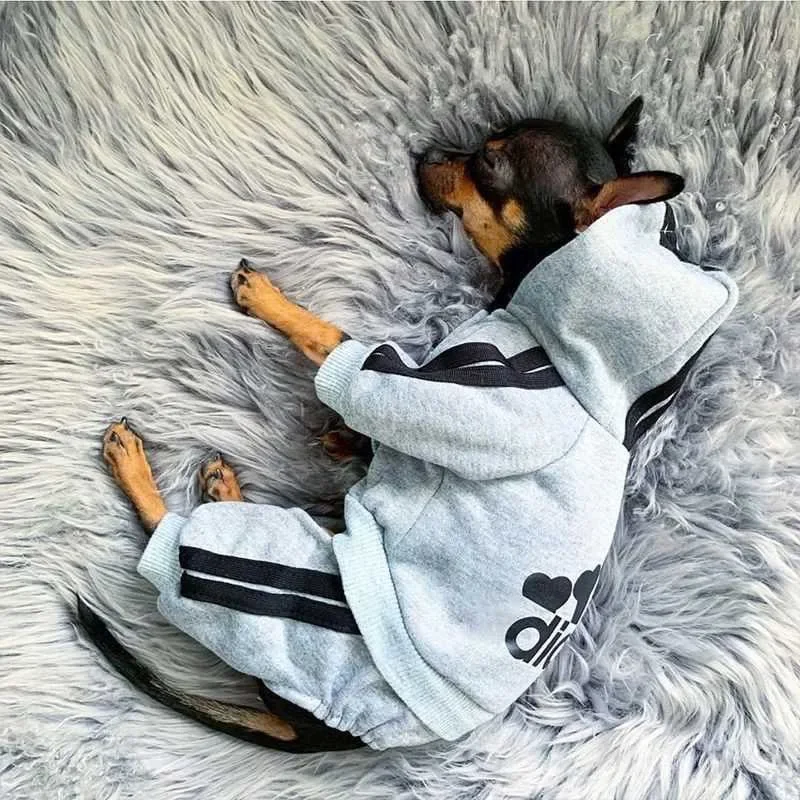 Warm Dog Jumpsuit Hoodie Coat 4
