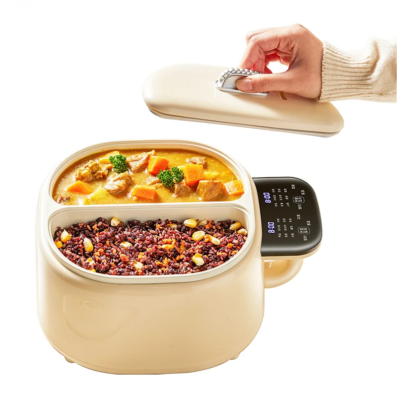 2L Electric Micro Pressure Cooking Pot Double Gallbladder Rice Cooker Smart Food Steamer Noodles Stew Skillet Hotpot Frying Pan