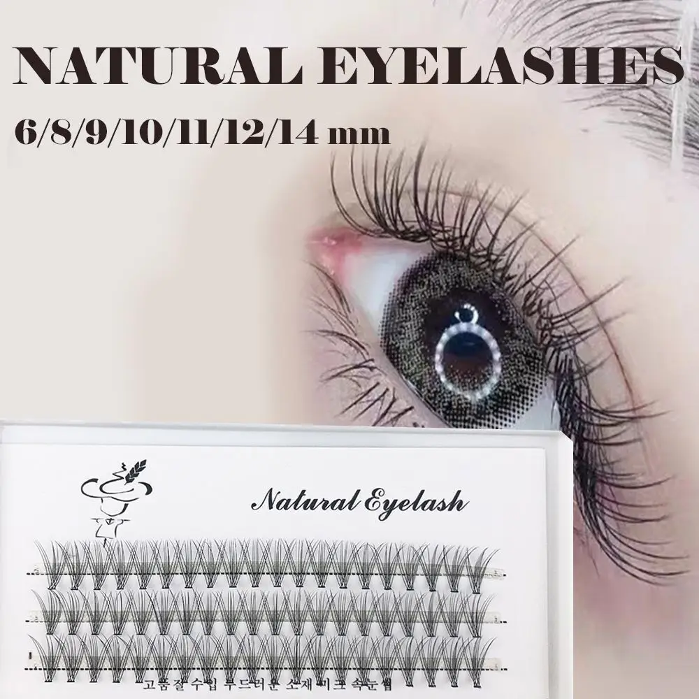 Fashion Cluster Eyelashes Thick Curl Segmented Lashes Grafting Waterproof False Eyelash