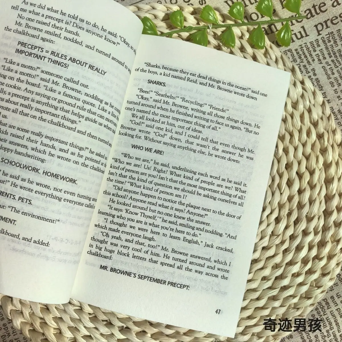 كتاب ووندر بوي الإنجليزي رواية باراكيو الأصلية للعائلة والأبوية والشباب رواية ملهمة كتب إنجليزية Libros Livros