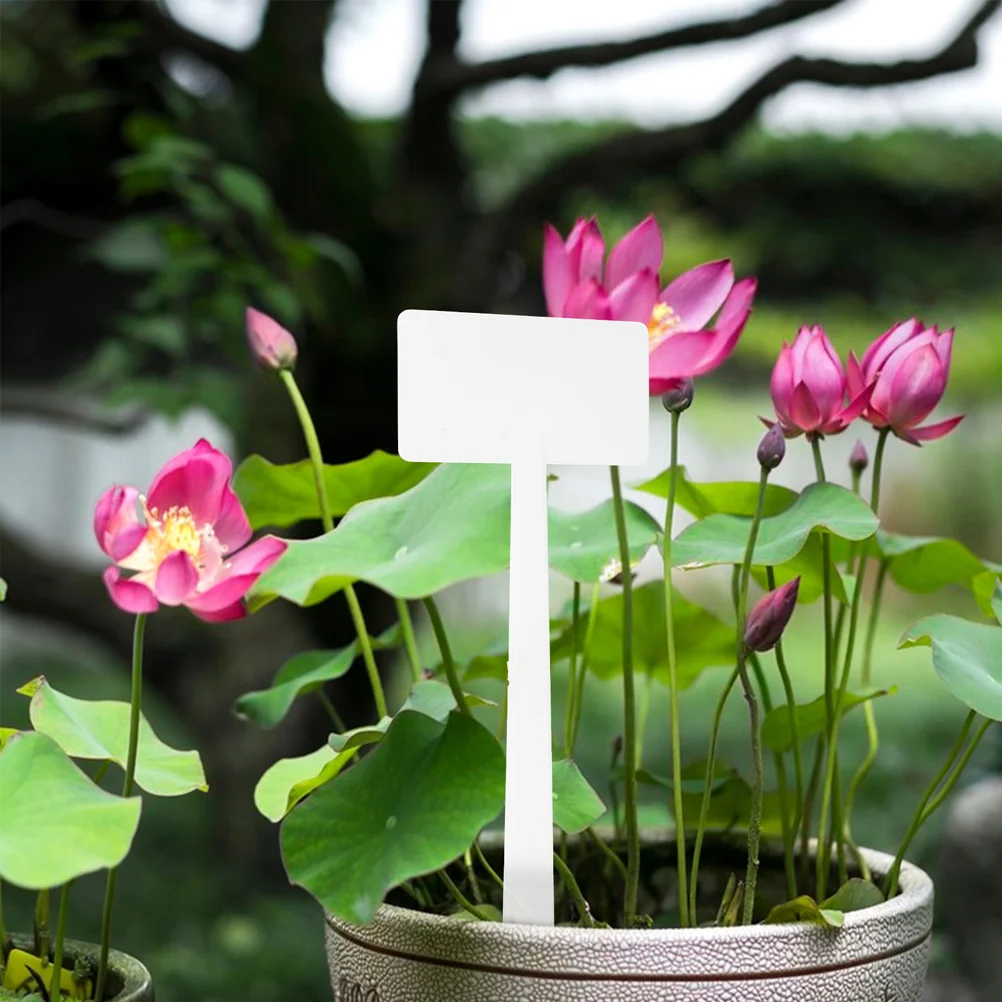 

10 Pcs Labels Garden Markers PP Durable DIY Tags Nursery Greenhouse Plant Identify Label Outdoor Indoor Plants