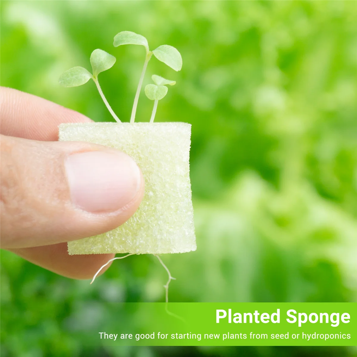 100Pcs/Set Hydroponic Gardening Plant Tools Planted Sponge Vegetable Cultivation System 32X30mm