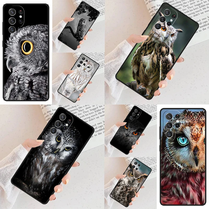 Animal Owl Eyes Pho… - image