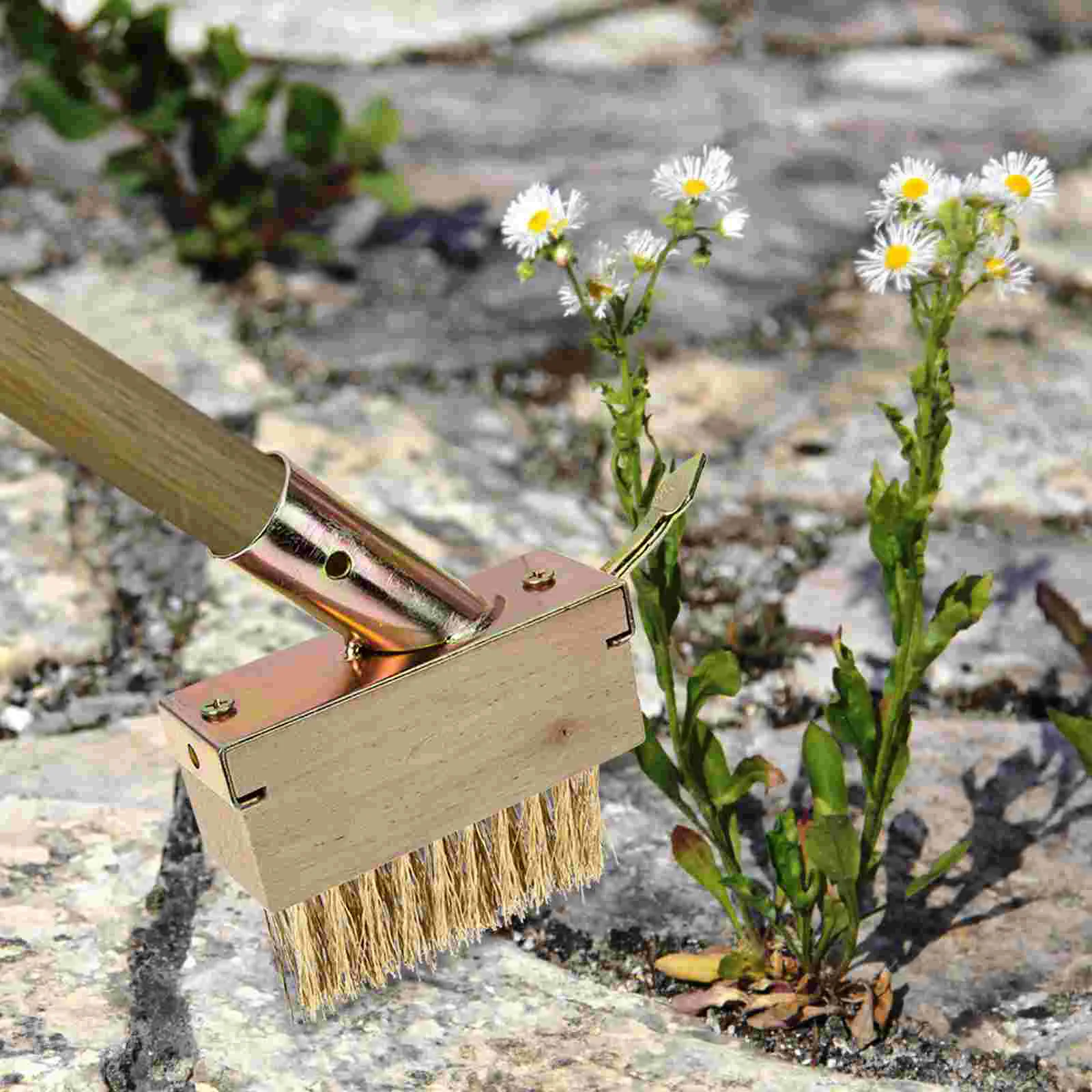 Cleanser Wire Weeding Brush Ground Crack Crevice Moss Remover Khaki Garden Removal