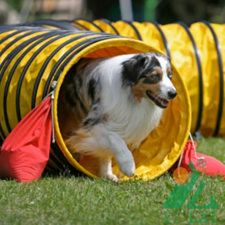 

PVC Heavy Duty Vinyl Dog Agility Tunnel, UV Proof Dog Tunnel