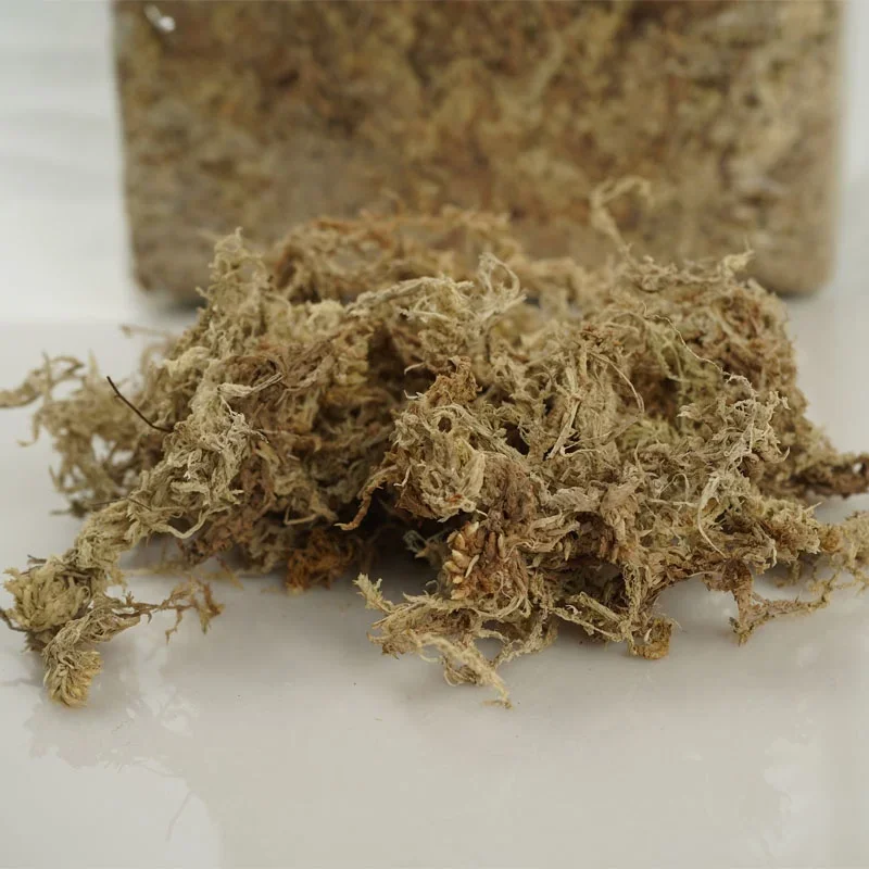 Controle De Temperatura Digital PVC Custom Made, terrário réptil