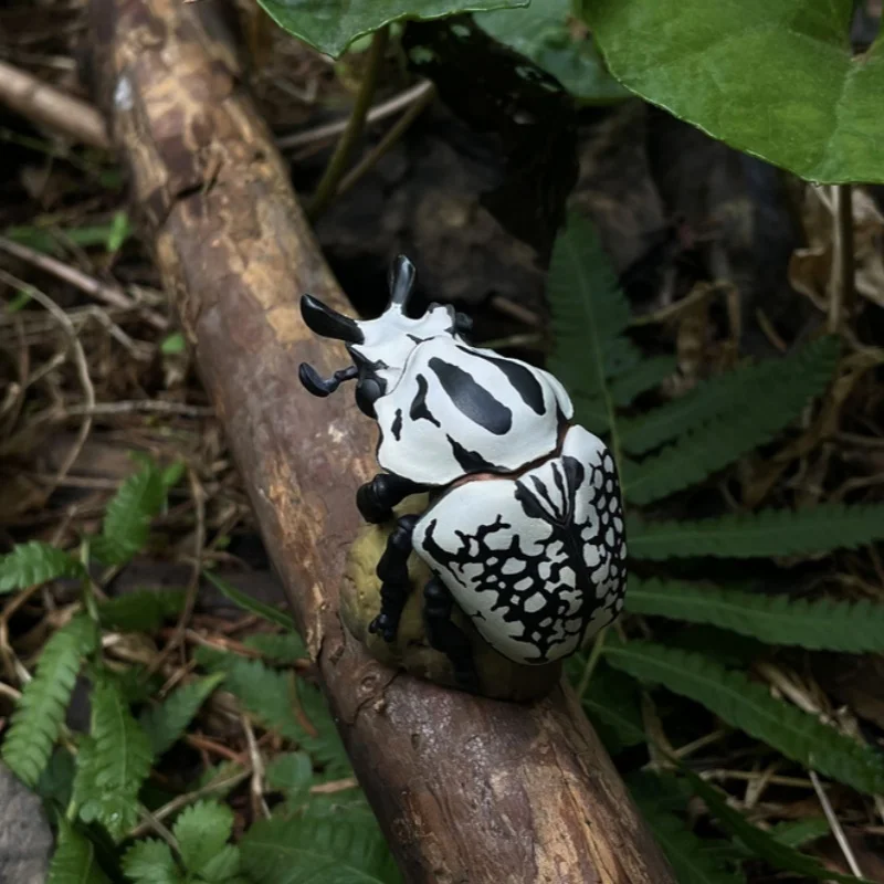 حار بيع! Animal Planet Heart Wide Body Fat Series 11th Bug Series 02 نموذج لعب زخرفة محمولة #3