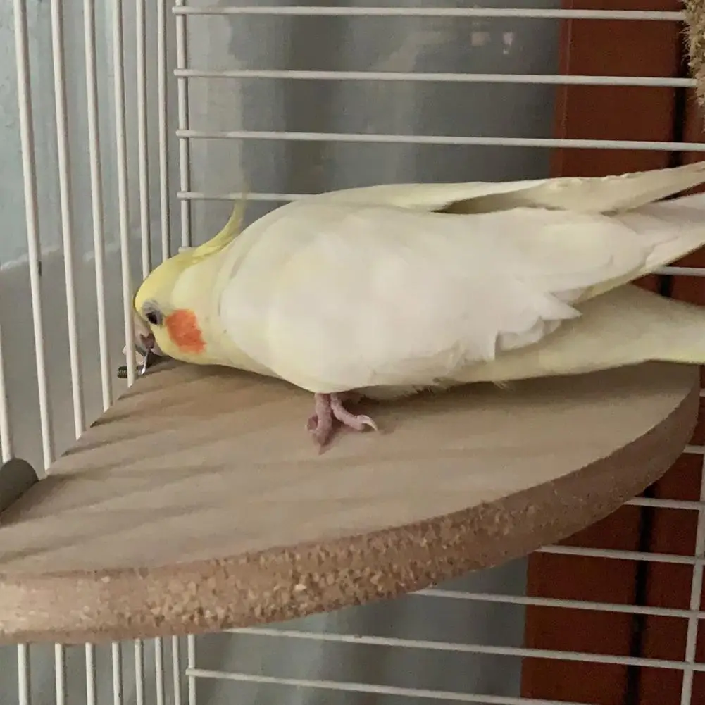 Wooden Platform Stand Rack Fan-shaped Perches Bird Cage Toys For Hamster Parrot Chinchilla Squirrel