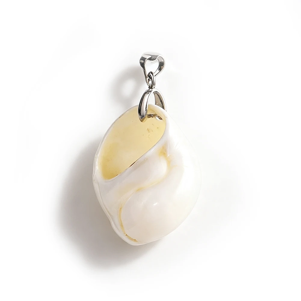 Natural Seashell Pendant Necklace Polished Cowrie Shells Silver Bail Black Cords Boho Beach Jewelry Women Men Gifts 3.3 to 3.8cm