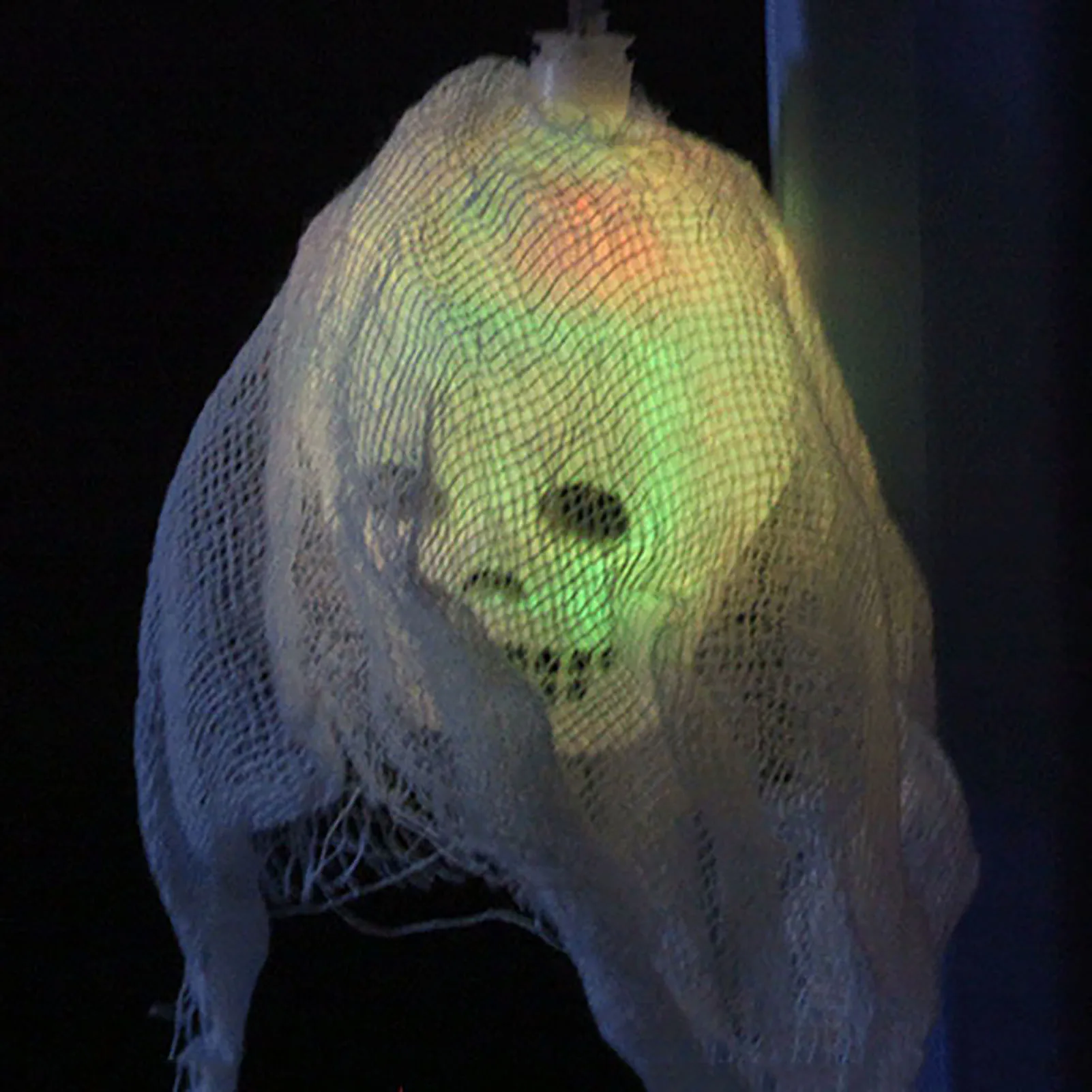 Halloween Decorations String Lights Multifunction Lights Hanging Decor for Flat Dormitory Decoration