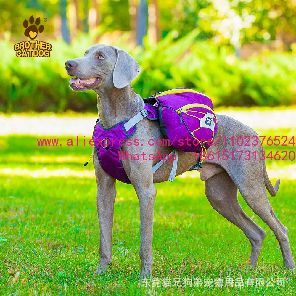 Dog self-pack large dog golden retriever schoolbag going out portable pet dog backpack leash