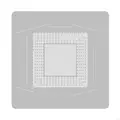 Plant tin network1