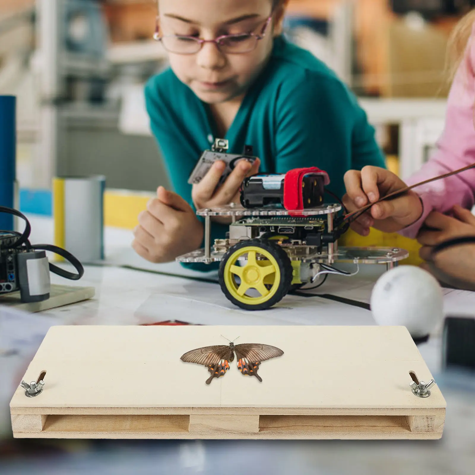 Butterfly Wing Display Board High-Grade Wooden Specimen Spreading Tool Adjustable Spacing for Wings Mounting Science Lab