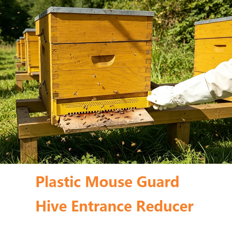 Hive Entrance Reducer Plastic Mouse Guard Beehive Door Beehive Box Door Anti-Escape Hive Gate Sheet Nest Spacer Beekeeping Tools