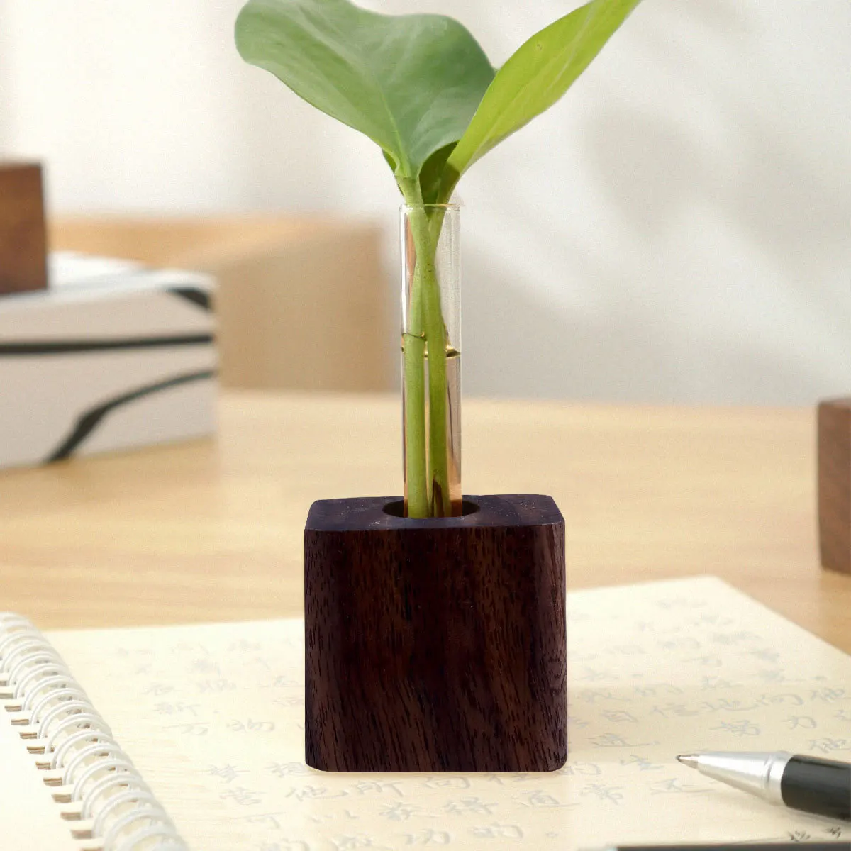 

1Pcs Test Tube Flowerpot with Glass Vase and Wooden Stand Hydroponic Dried Flower Display for Living Room Balcony Wedding Party