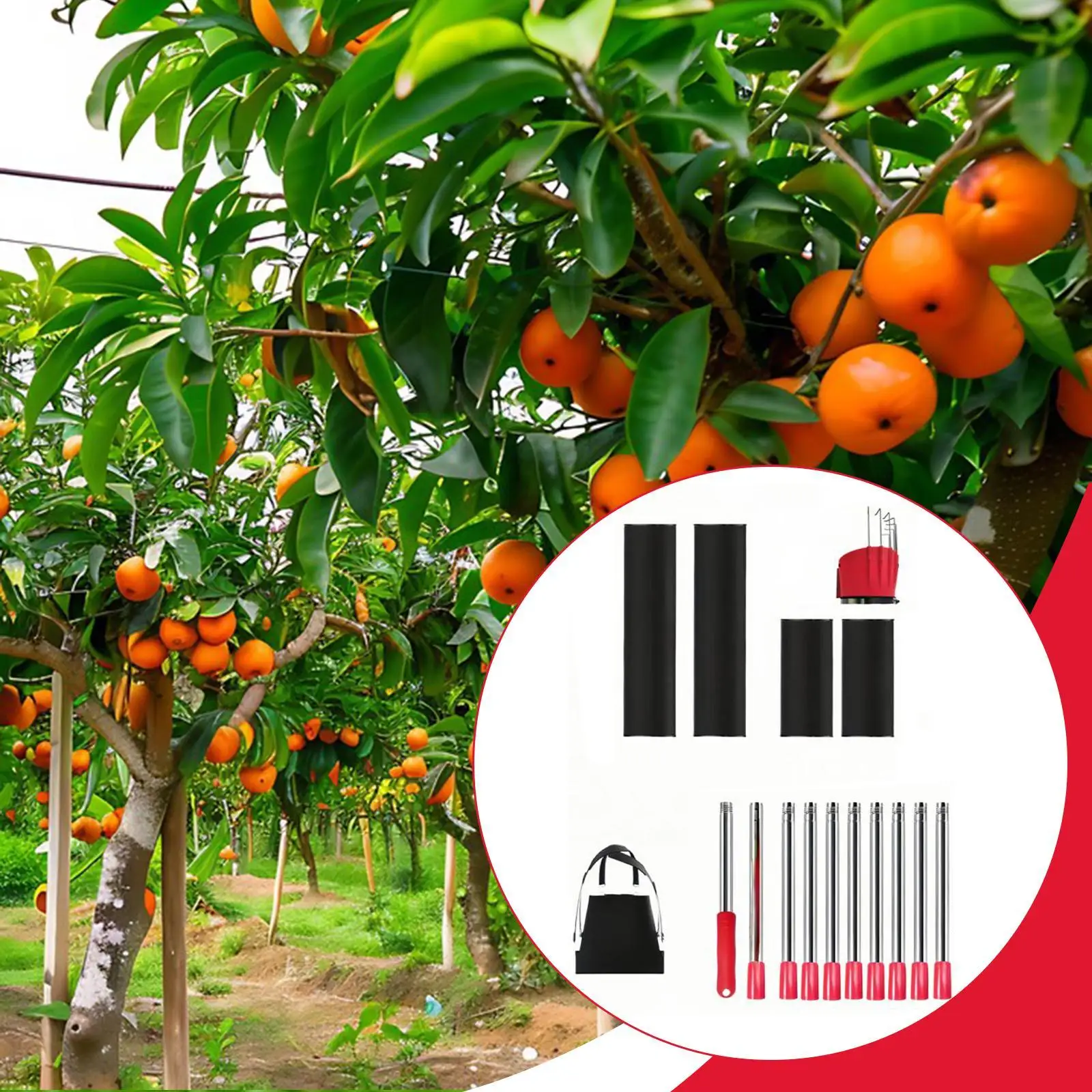 Fruit Picker Adjustable Accessories Equipment Garden Hand Tool Integrated Picking Tool for Park Farmhouse Lemon Oranges Garden