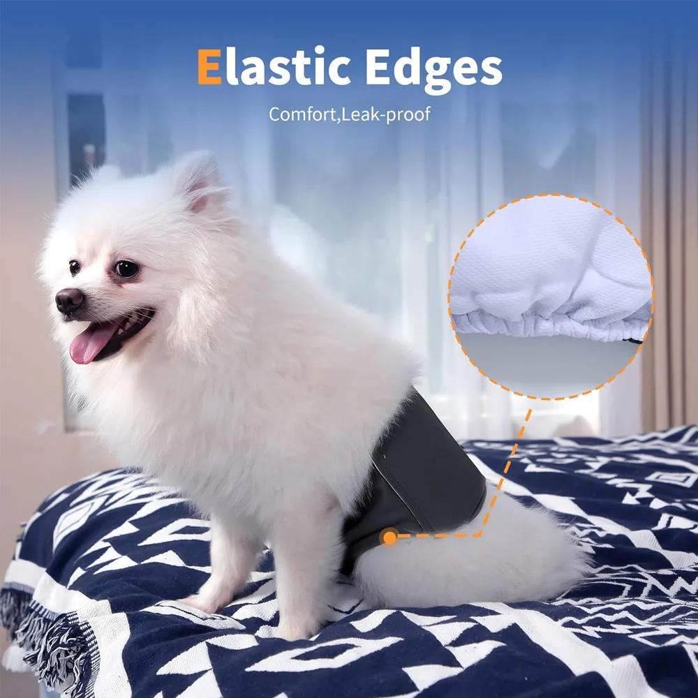 Thumbnail 2 - #19 Latest Dog Diapers Offers