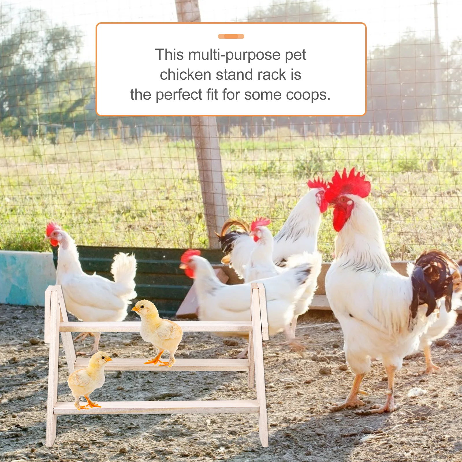

Chicken Stand Rack Wood Bird Parrot Perch For Poultry Hen Rooster Chick Standing Exercise Training Indoor Outdoor