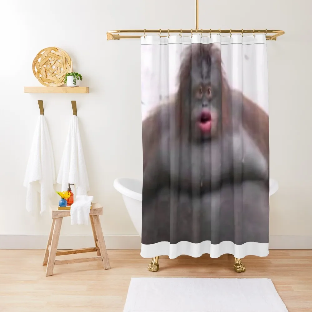 

Le Monke Shower Curtain Elegant Bathroom Cute Shower Shower Sets For Bathroom Curtain