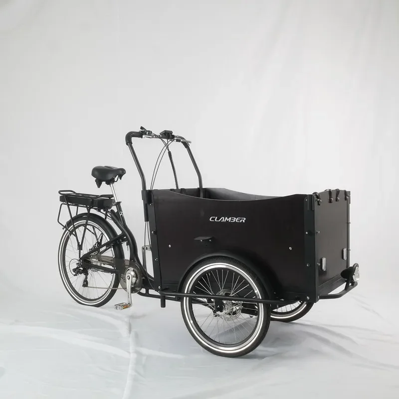 Cargo Electric Trike 3 Wheel Cargo Electric Tricycle Family Cargo Trike