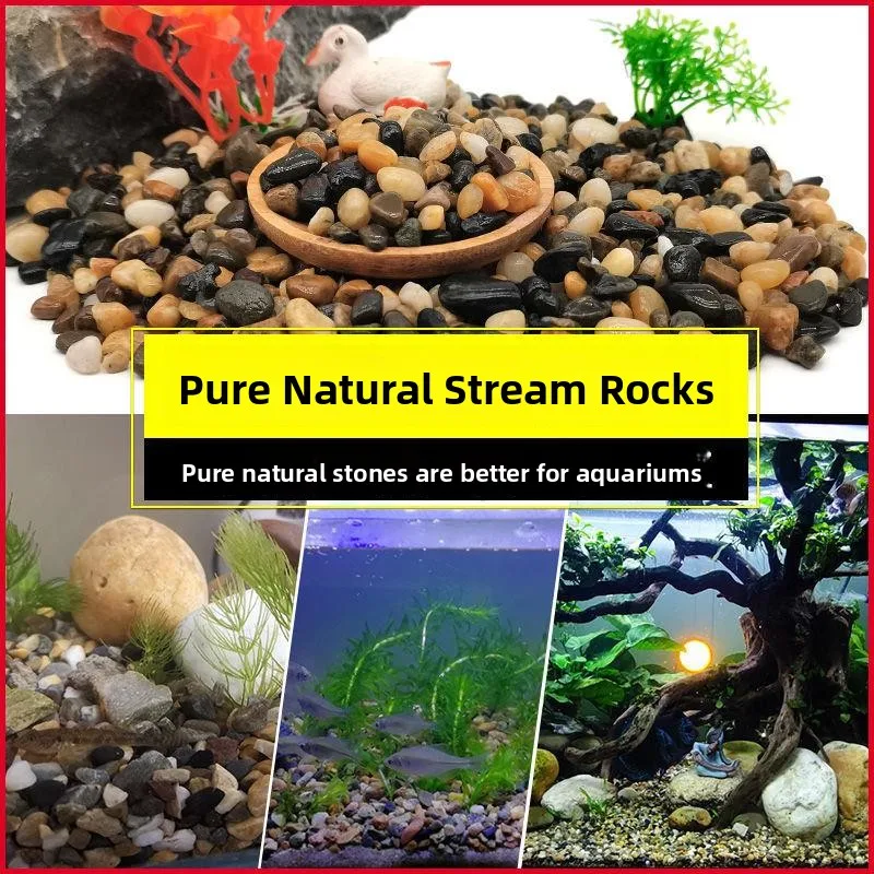 

Декоративные камни и галька для аквариума: оригинальный декор для террариумов и аквариумов с эффектом тропического леса, для черепах и других питомцев