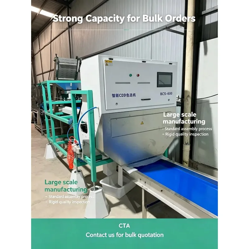 Customized Commercial Dry Garlic Peeling Equipment Industrial Complete Garlic Processing Production Line