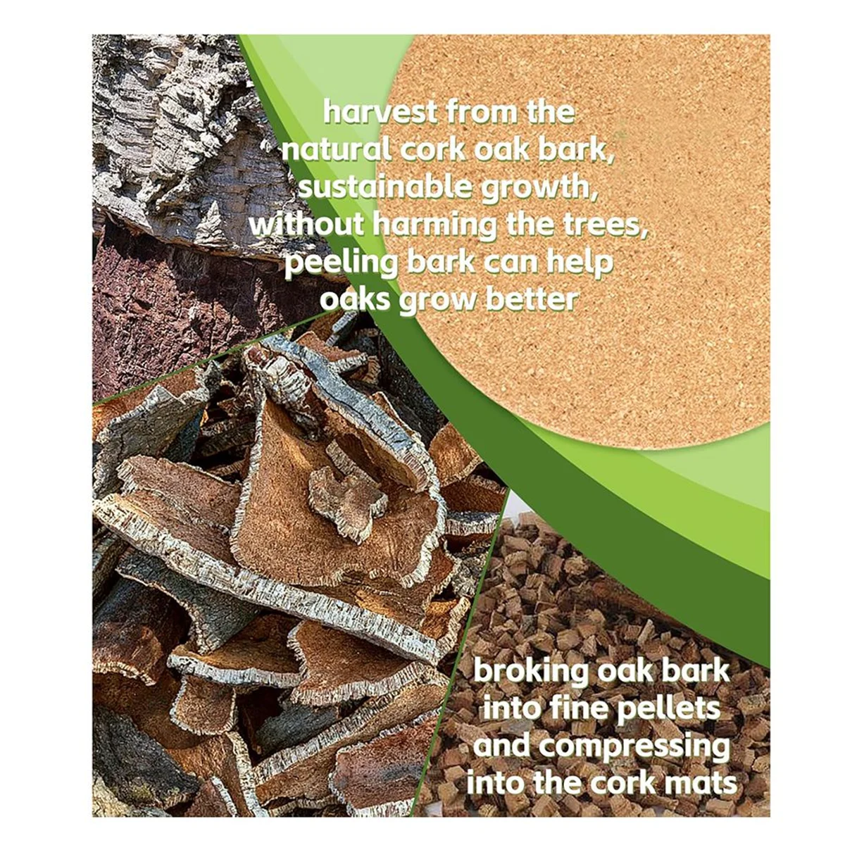 قواعد أكواب نباتات الفلين مقاس A43 مم، 3 أحجام بطبقات مزدوجة من قاعدة زراعة الفلين السميكة الصلبة، حصيرة نبات الفلين الماصة مقاس 4/6/8 بوصة #1