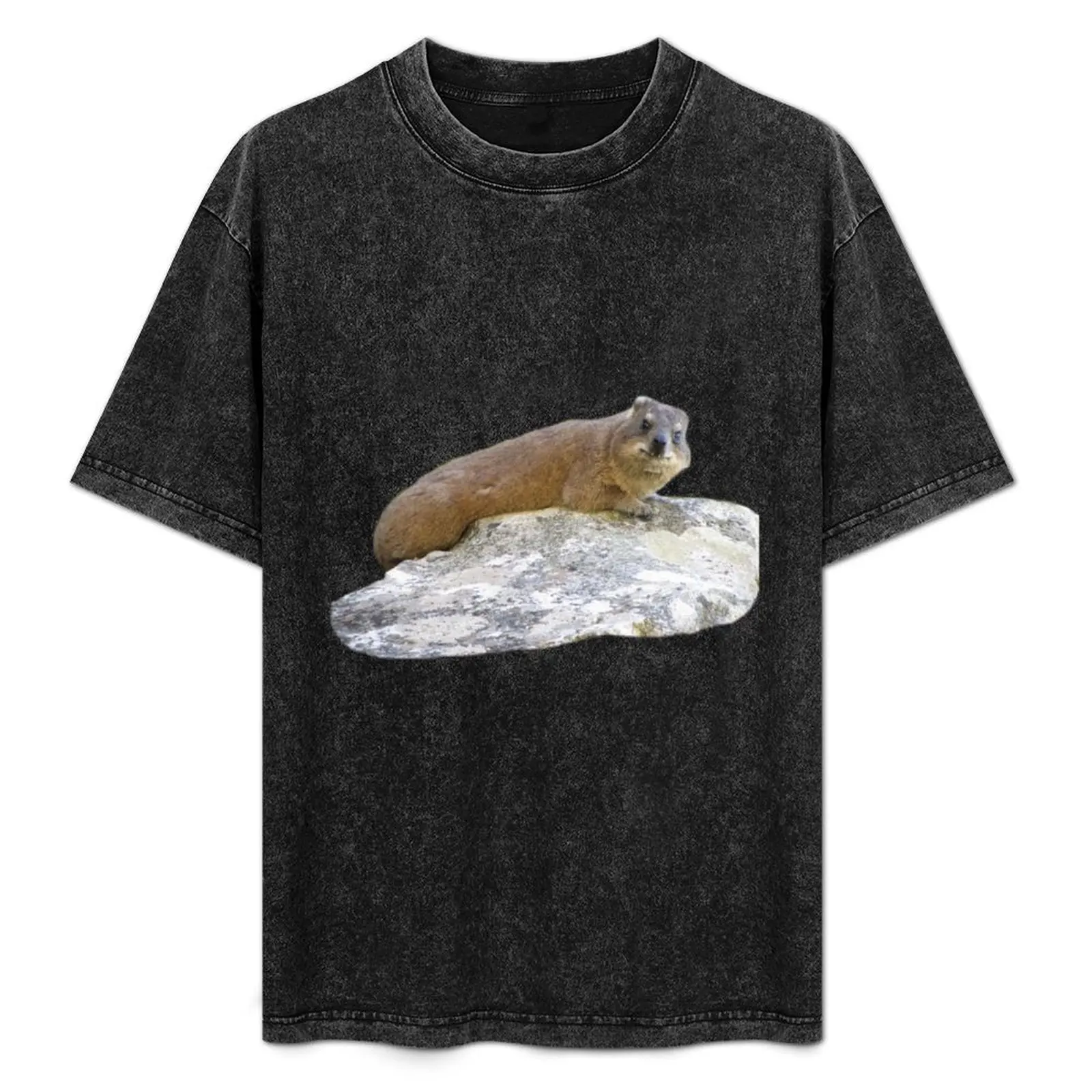 

Rock hyrax on a rock T-Shirt Casual Breathable Short Sleeve Top