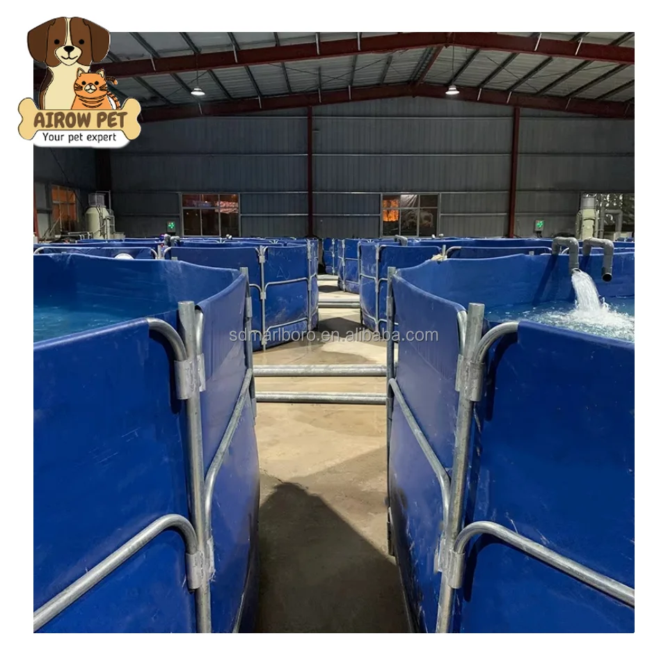 Fishing Equipment To Sell - AIROW China Hot Sell Grote Aquarium