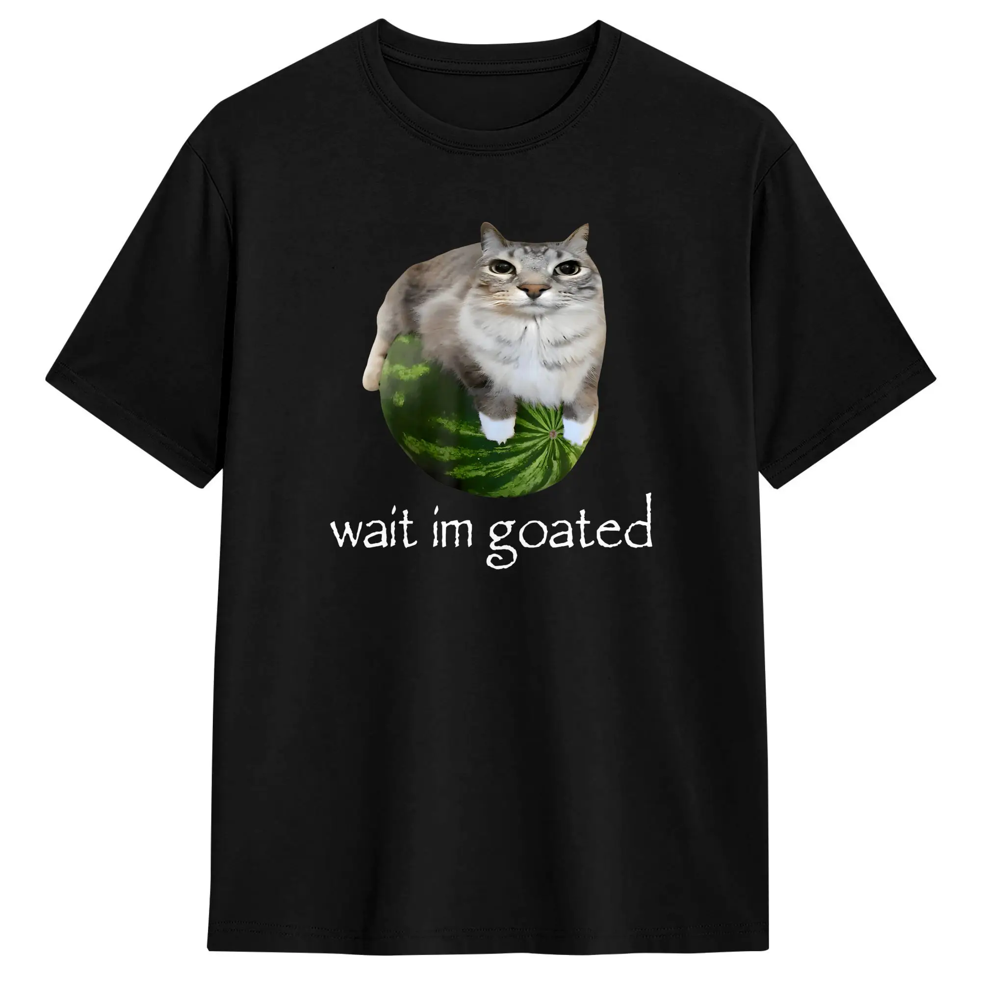 Casual T Shirt Beach Wait IM Goated Cat Meme Funny Watermelon Silly Cats Humor  Novelty T Shirts  Cotton Tshirt for Men Y2K Tops