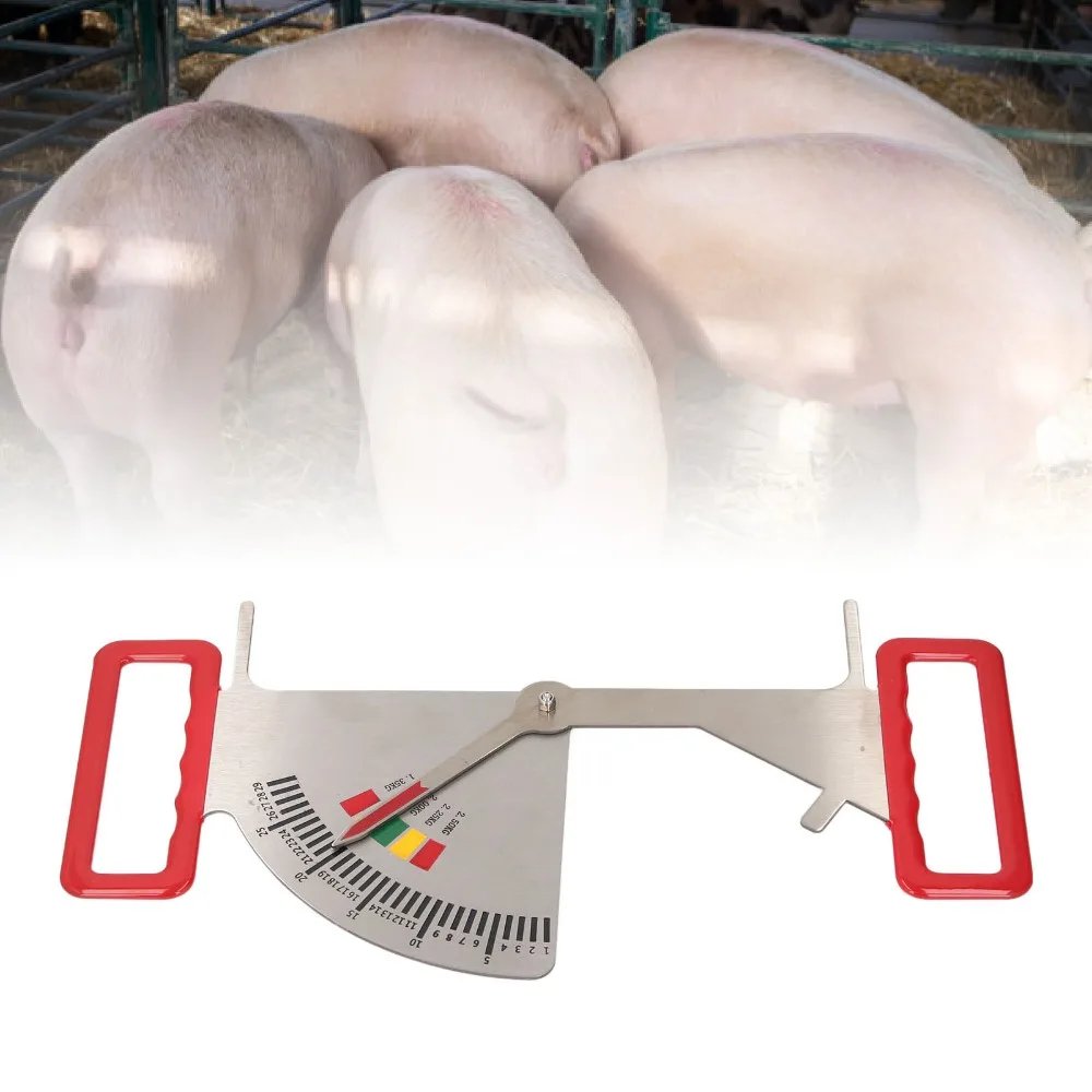 Stainless Steel Feeding Management Ruler Accurate Durable Sow Backfat Ruler Hard Dependable Body Fat Caliper Feeding Management