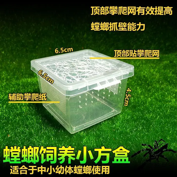 Mantis breeding box, net cage, mantis net cage, insect breeding box, pet box, mantis living body breeding box, reptile box