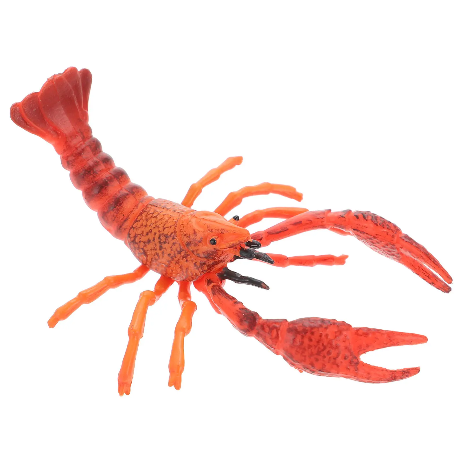 

Premium Simulation Lobster Decorative Ornament for Kids Learning and Home Office Desk Shelf Display Educational Cognitive