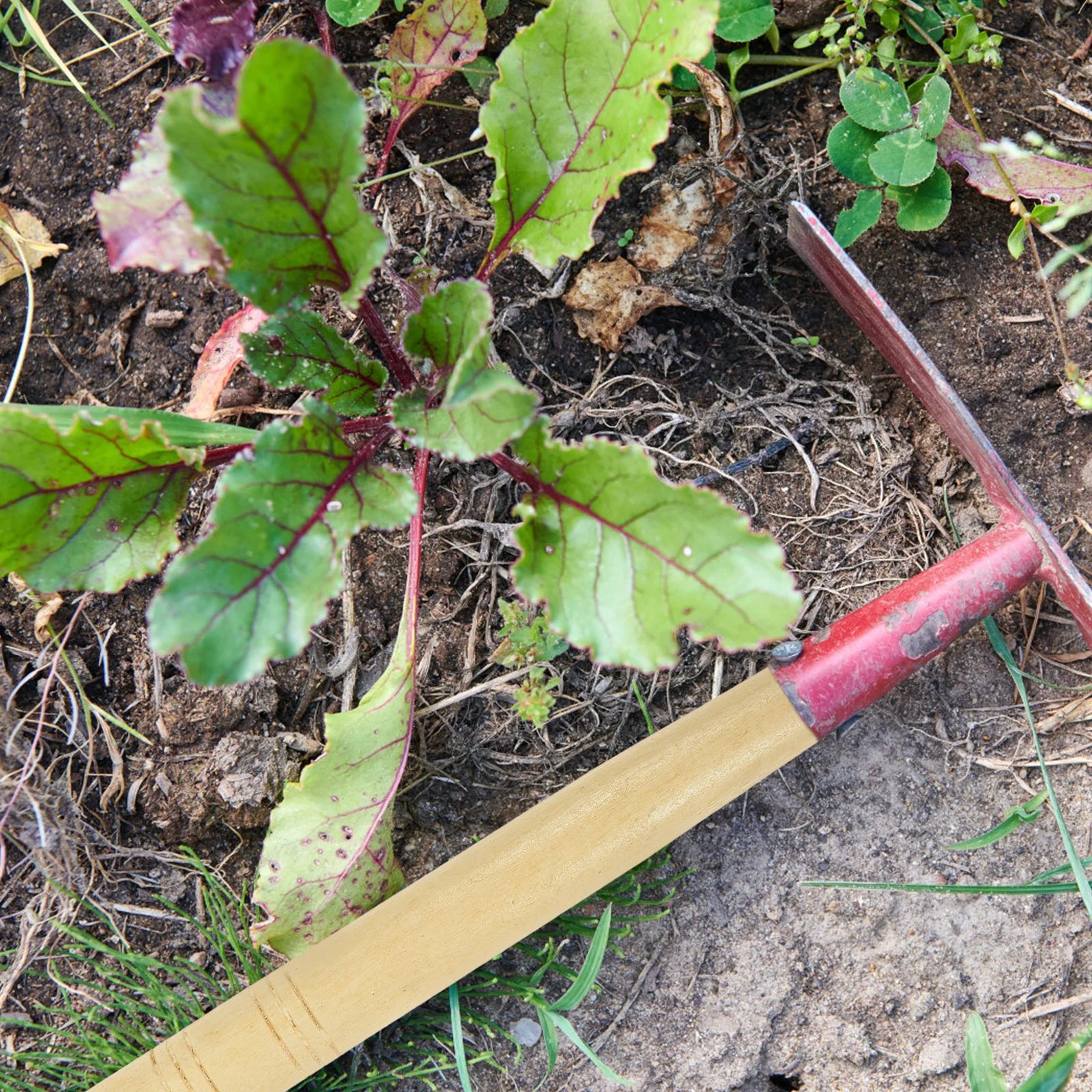 

5Pcs Wood Handles for Farm Tools Shovel Hoe Replacement Lightweight Durable Garden Tool Hardwood Handle Suitable Hoes