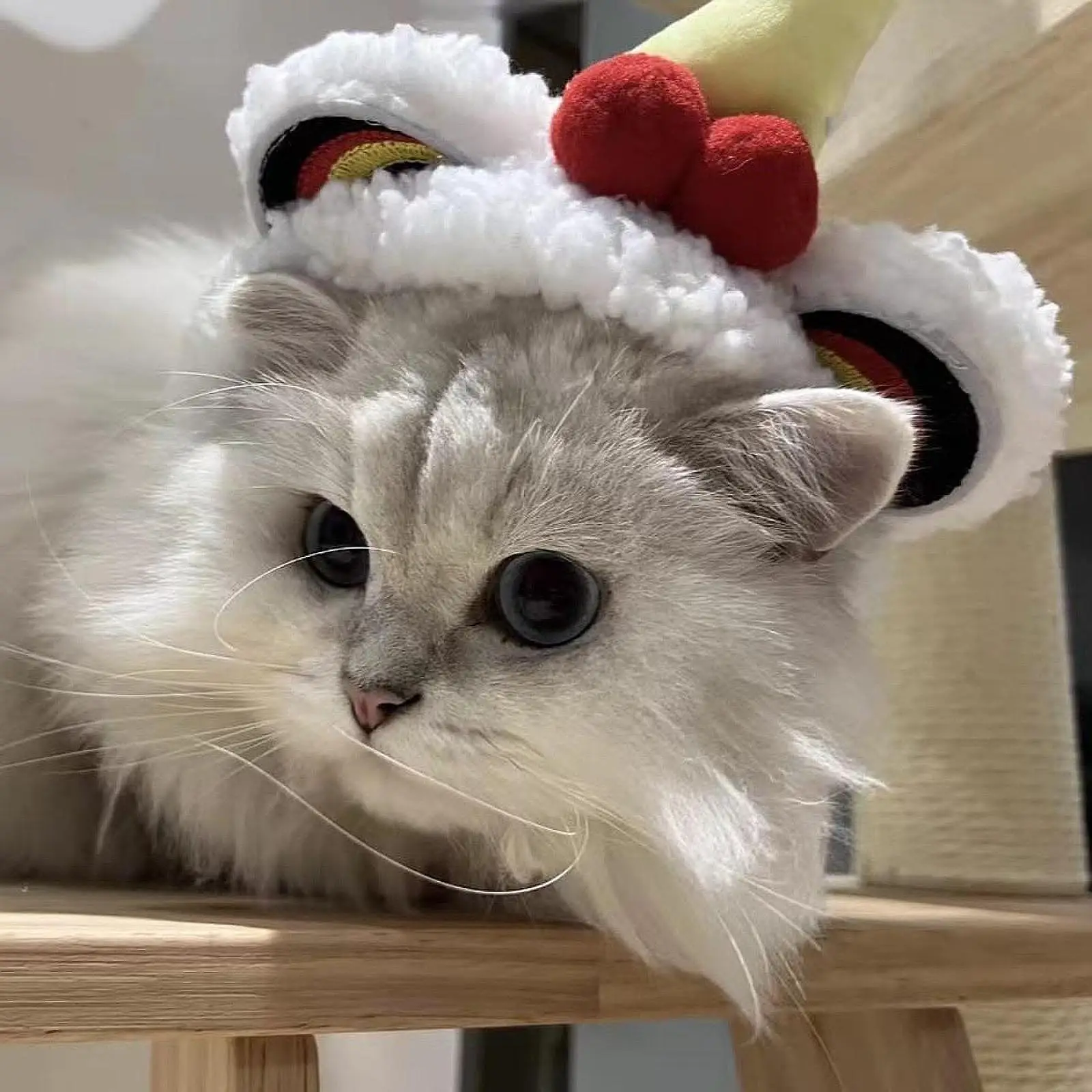 Cat Costume Hat Easy to Wear New Year Cat Lion Dance Hat for Puppy Kitty