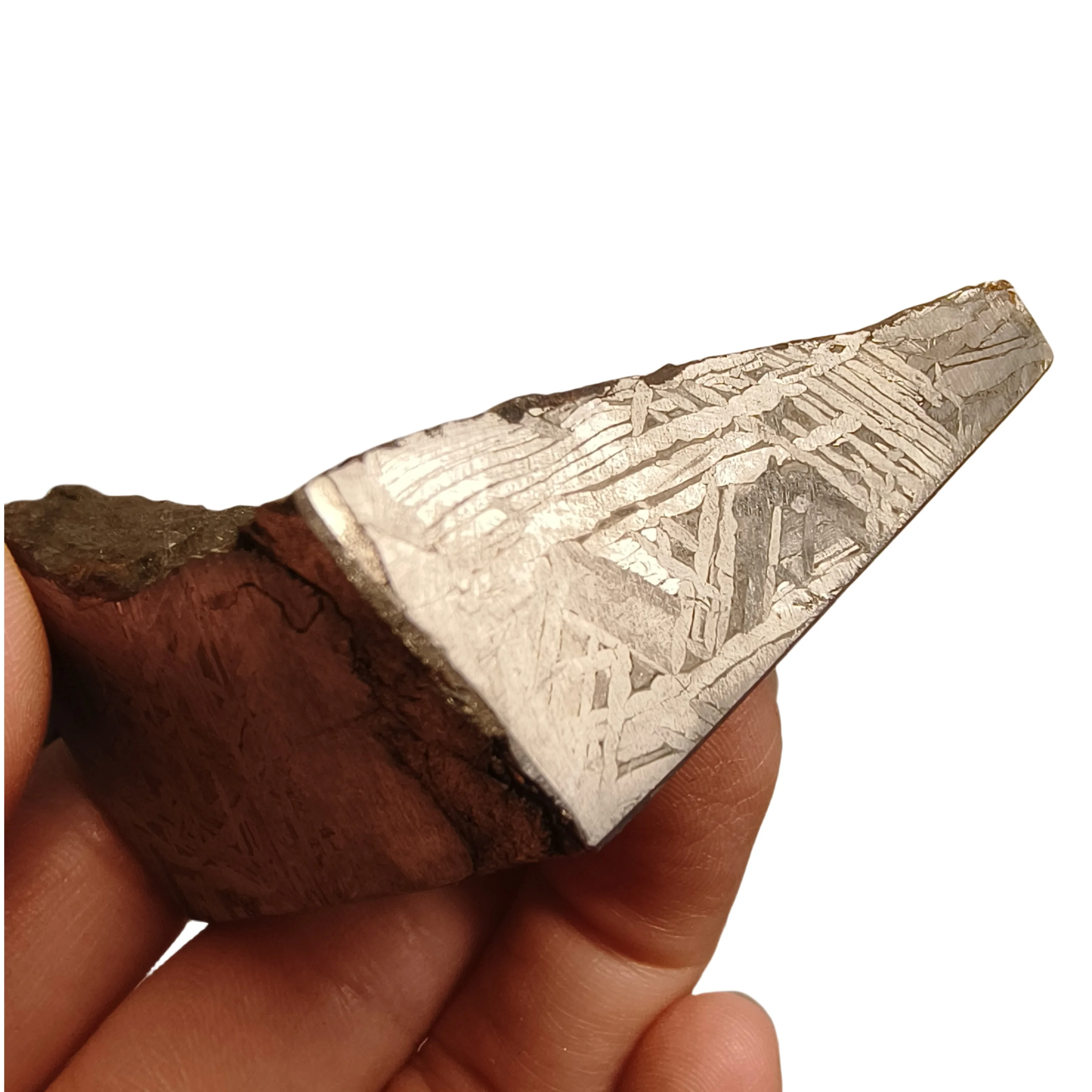 373.5g Muonionalusta meteorite slice Natural iron meteorite material specimen Meteorite slice Collection -TC634