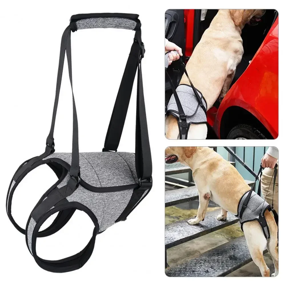 Dog Support Harness Elastic Dog Lift Harness Reduce Pressure Walking Aid Disabled Pet Mobility Hind Leg Support لجام الخيل