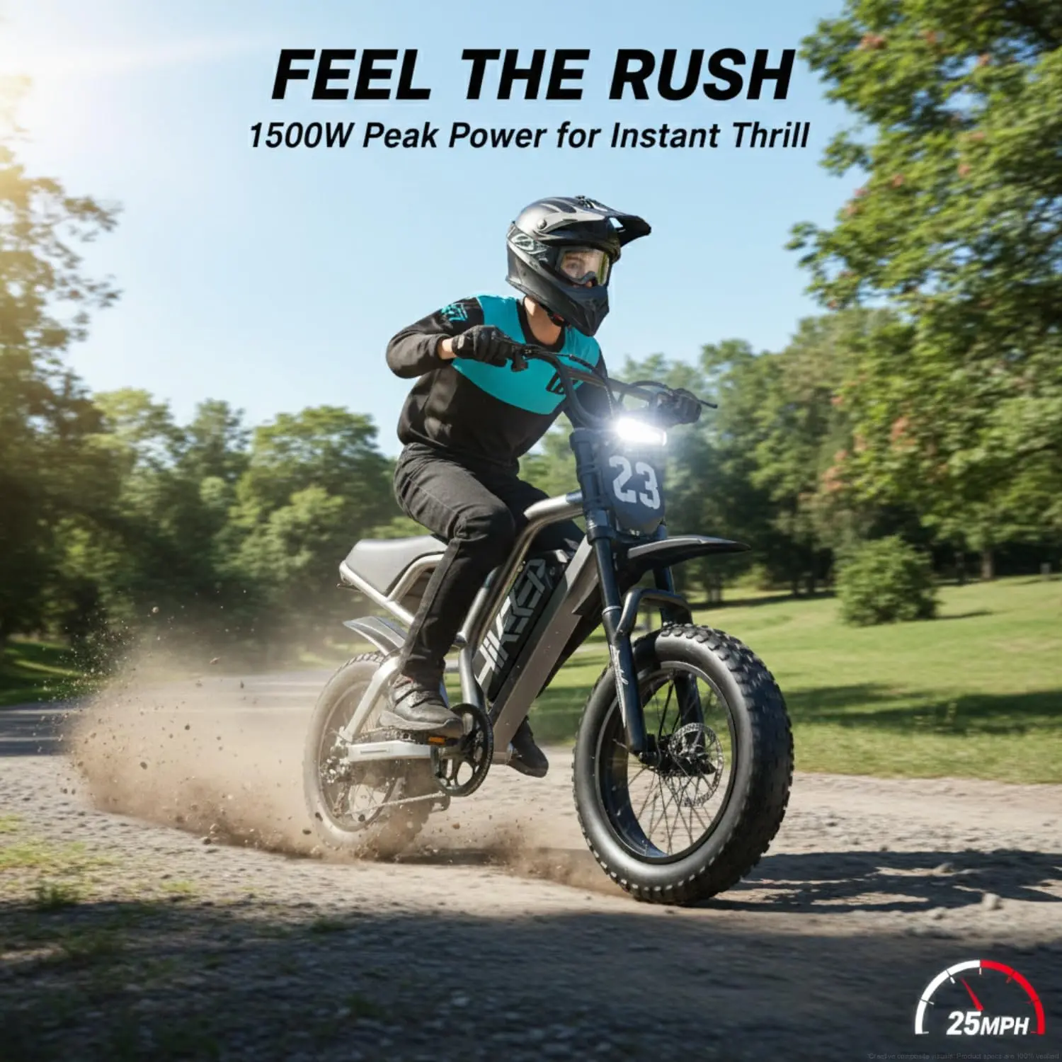 1500W Peak Fat Tire Electric Bike Adults Teens Mountain Snow Beach, Customized