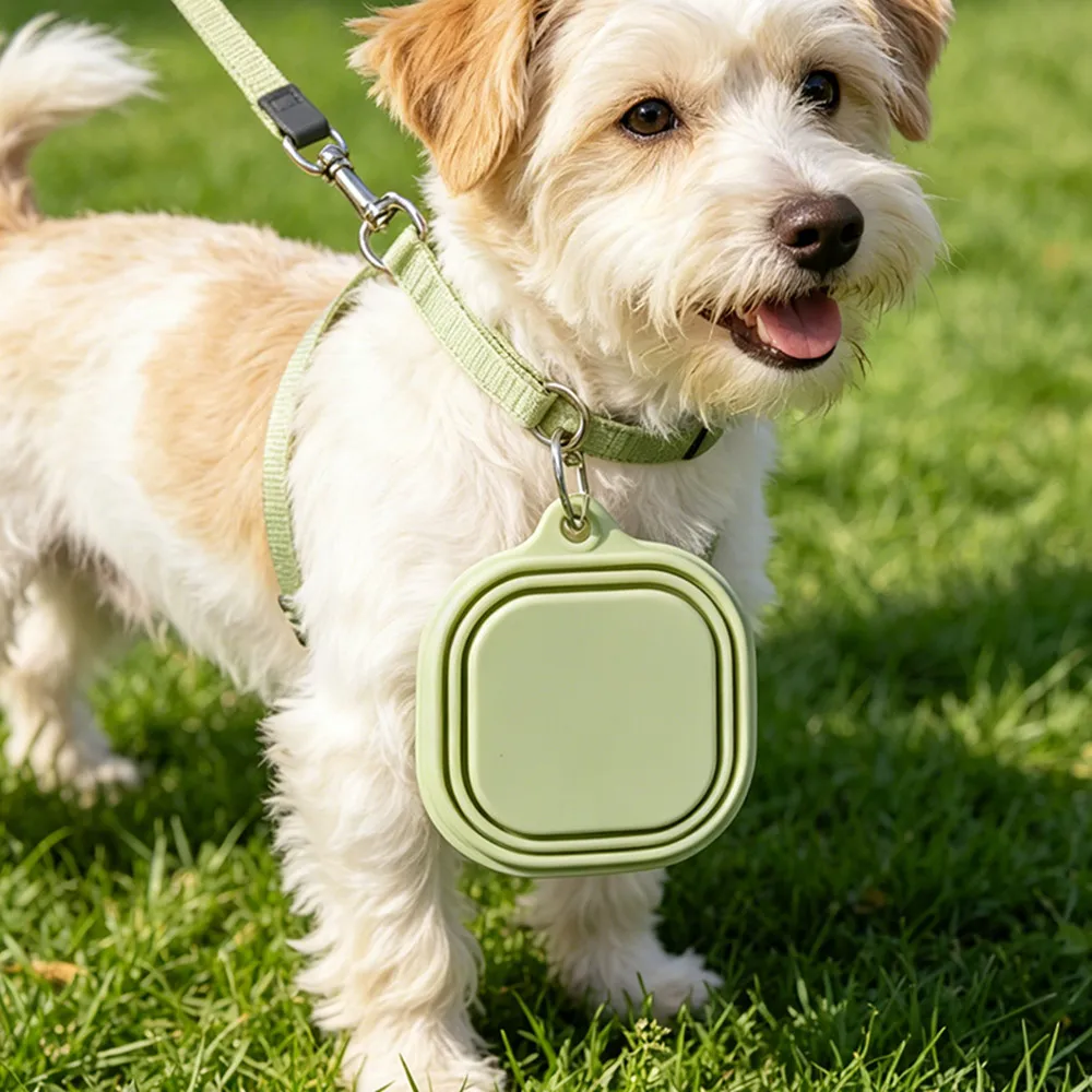 Thumbnail 4 - #28 Best Collapsible Dog Bowls to Buy In 2026