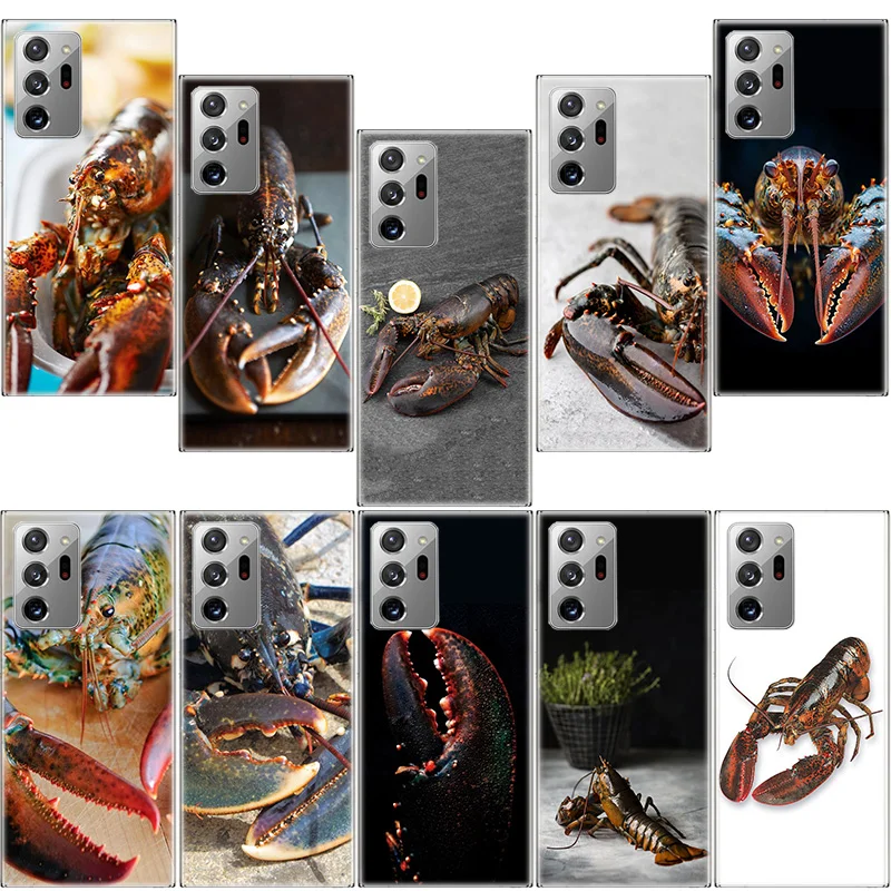 

Live Lobster Phone Case for Samsung A17 A37 A57 A54 A14 A24 A34 A07 A04S A02S A12 A22 A32 A52S A16 A26 A36 A56 A72 Galaxy Note 2