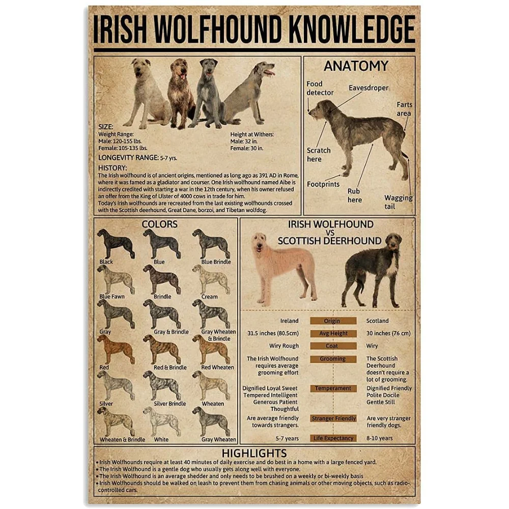 Metal Decoration Sign (Irish Wolfhound Knowledge) Premium Indoor and Outdoor Home Poster Rectangular Wall Decoration Plaque