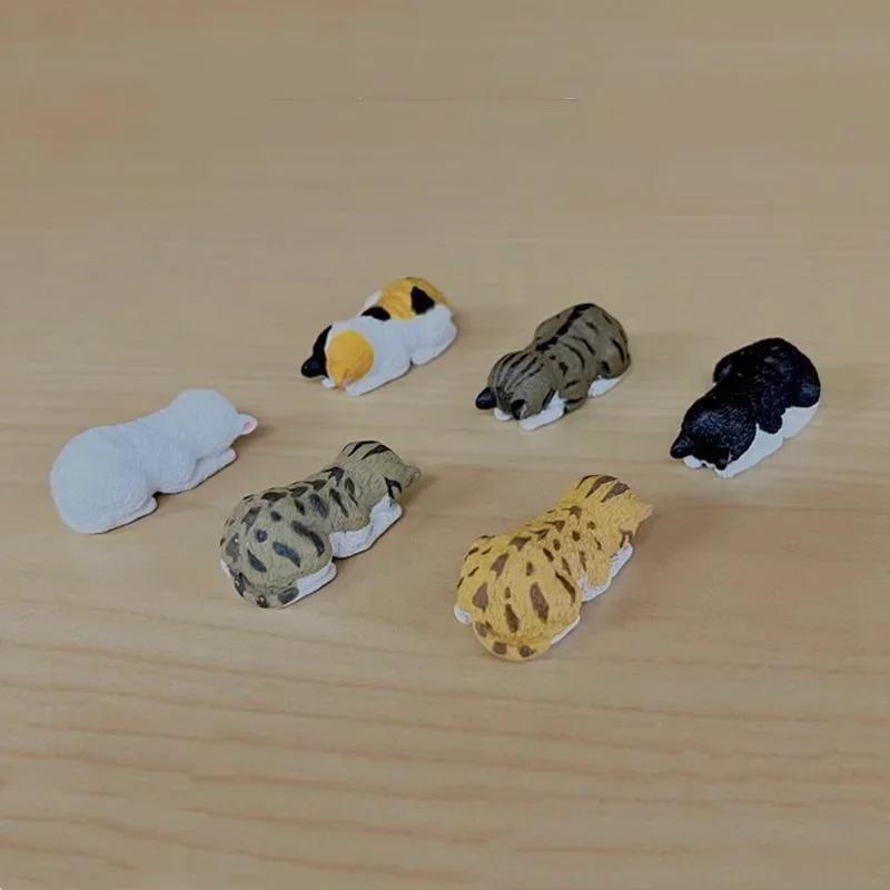 Figura de Gashapon de Japón de SHINE-G, figura de gato de Dozing Kawaii, cápsula de Anime, juguetes de regalo, decoración de escritorio