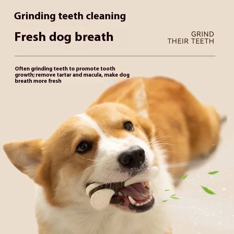 

2024 Dog Eating And Playing Bone Teeth Grinding Stick, Dog Chewing Gum, Hind Leg Bone Chewing Dog Bite Toy