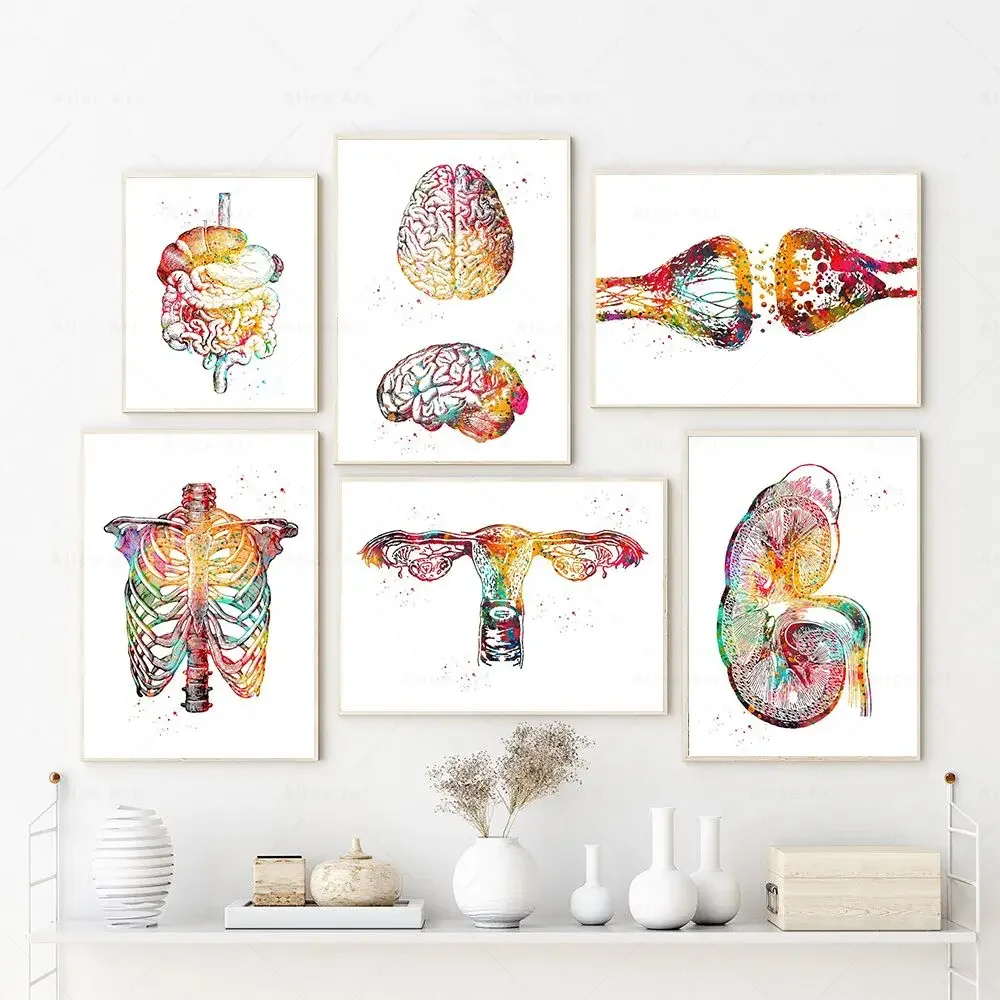 Scandinavian Simple Wall Art Human Anatomy Spine Heart Brain Teeth HD Canvas Poster Prints Home Bedroom Living Room Decoration
